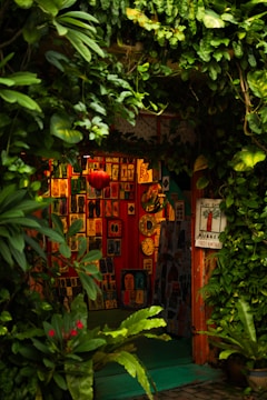A cozy, vibrant art gallery entrance adorned with lush green foliage. Various colorful artworks are displayed on the walls, featuring abstract and figurative designs. Bright red, orange, and yellow hues create a warm ambiance, while a few small clocks and a red lantern add character to the setting.