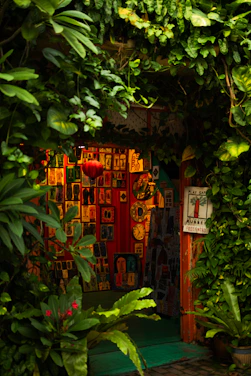 A warmly lit gallery space filled with colorful paintings and lively music performers.