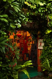 A cozy, vibrant art gallery entrance adorned with lush green foliage. Various colorful artworks are displayed on the walls, featuring abstract and figurative designs. Bright red, orange, and yellow hues create a warm ambiance, while a few small clocks and a red lantern add character to the setting.