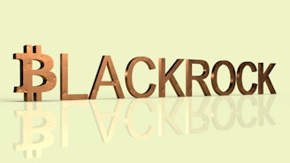 The word 'BLACKROCK' is displayed in bold, metallic 3D letters with a reflective effect, set against a light green background. The letter 'B' is stylized to resemble the Bitcoin symbol.