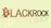 The word 'BLACKROCK' is displayed in bold, metallic 3D letters with a reflective effect, set against a light green background. The letter 'B' is stylized to resemble the Bitcoin symbol.