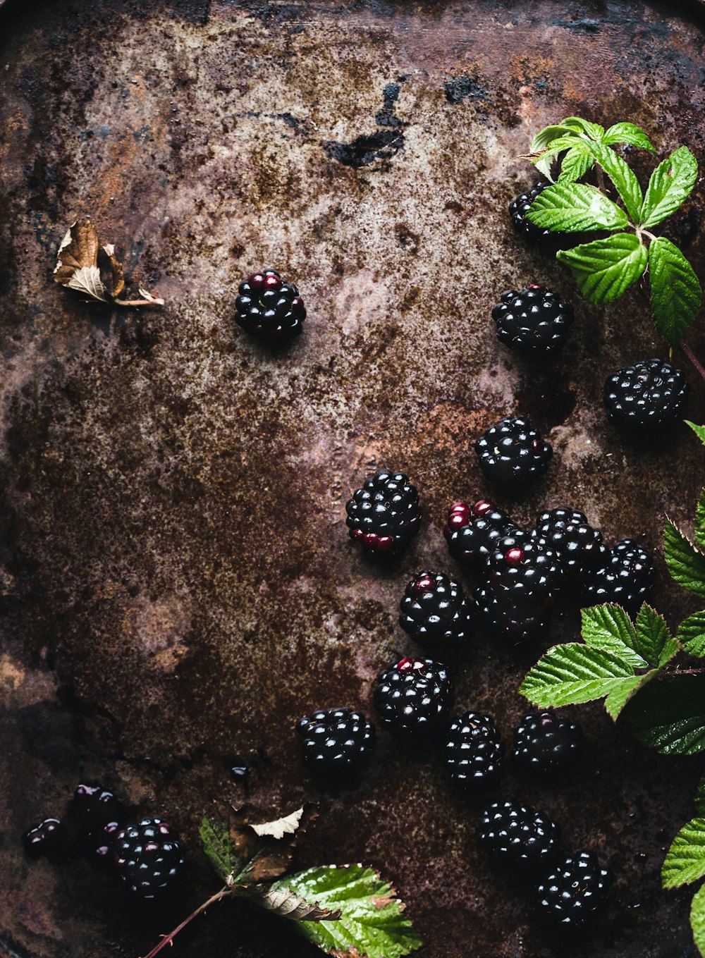 a pan filled with blackberries and green leaves