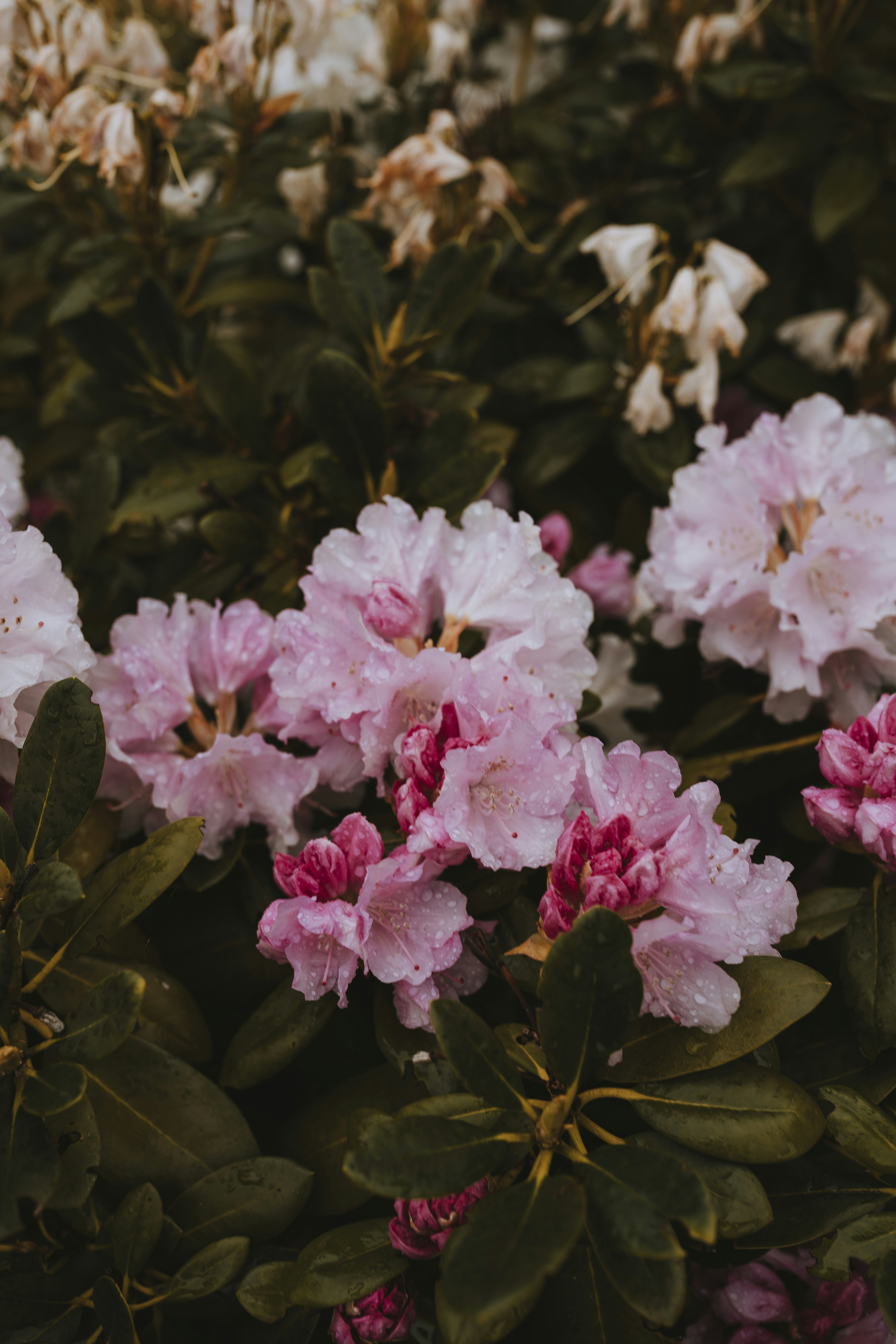 Photo by what_co_capture