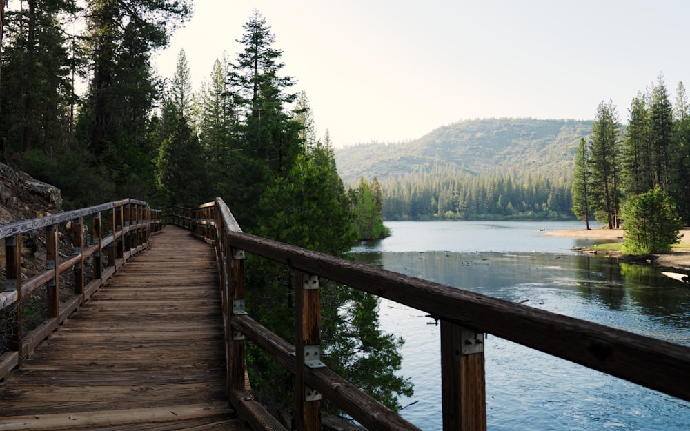 a wooden bridge over a body of water