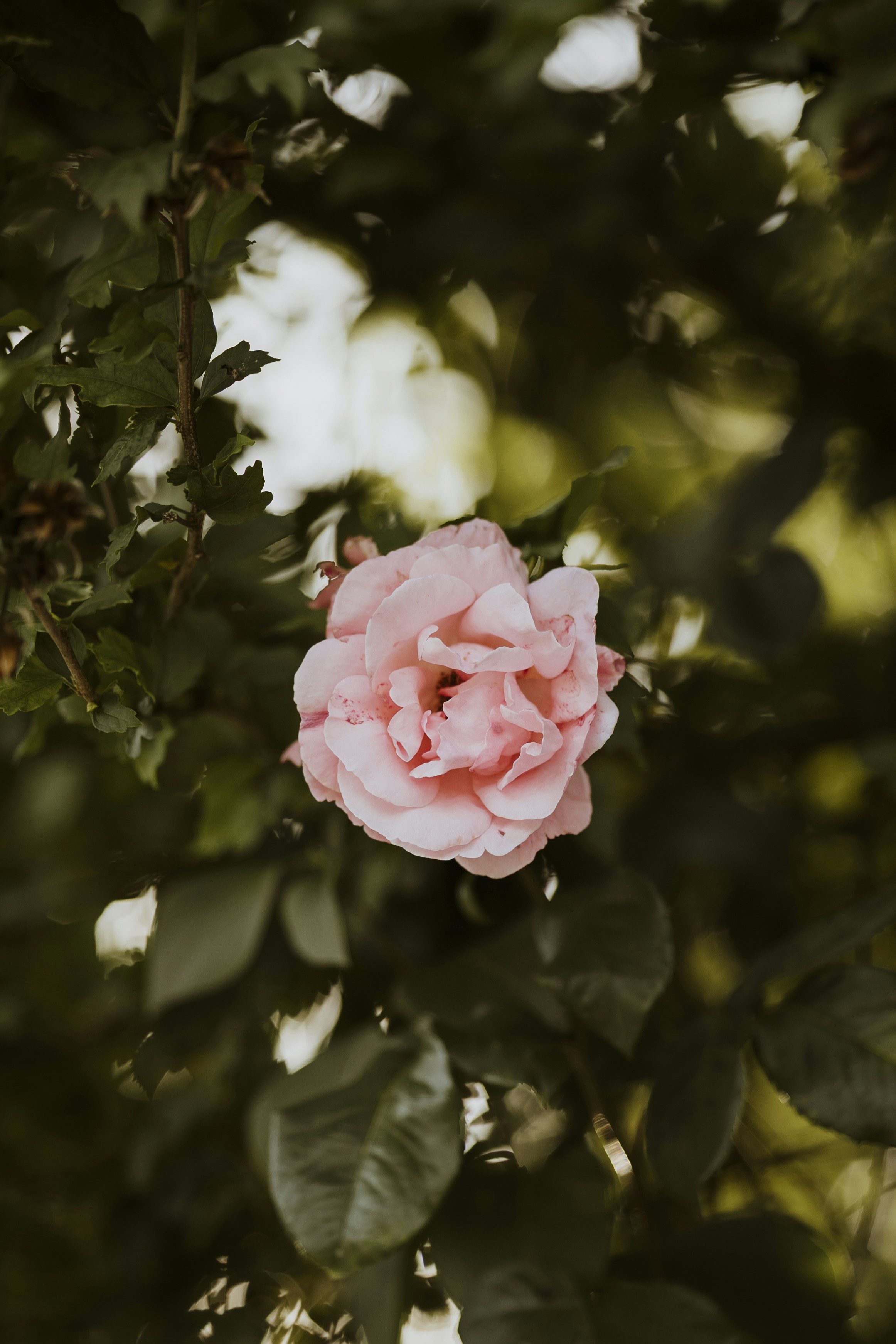 Photo by what_co_capture