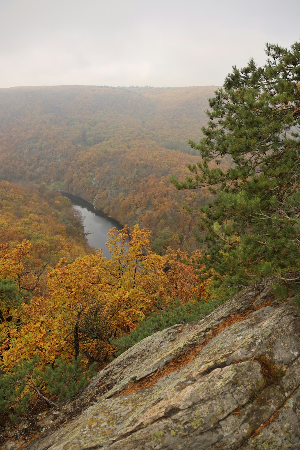 a view of a river surrounded by trees