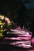 A group of people walking silently through the forest during a night hike