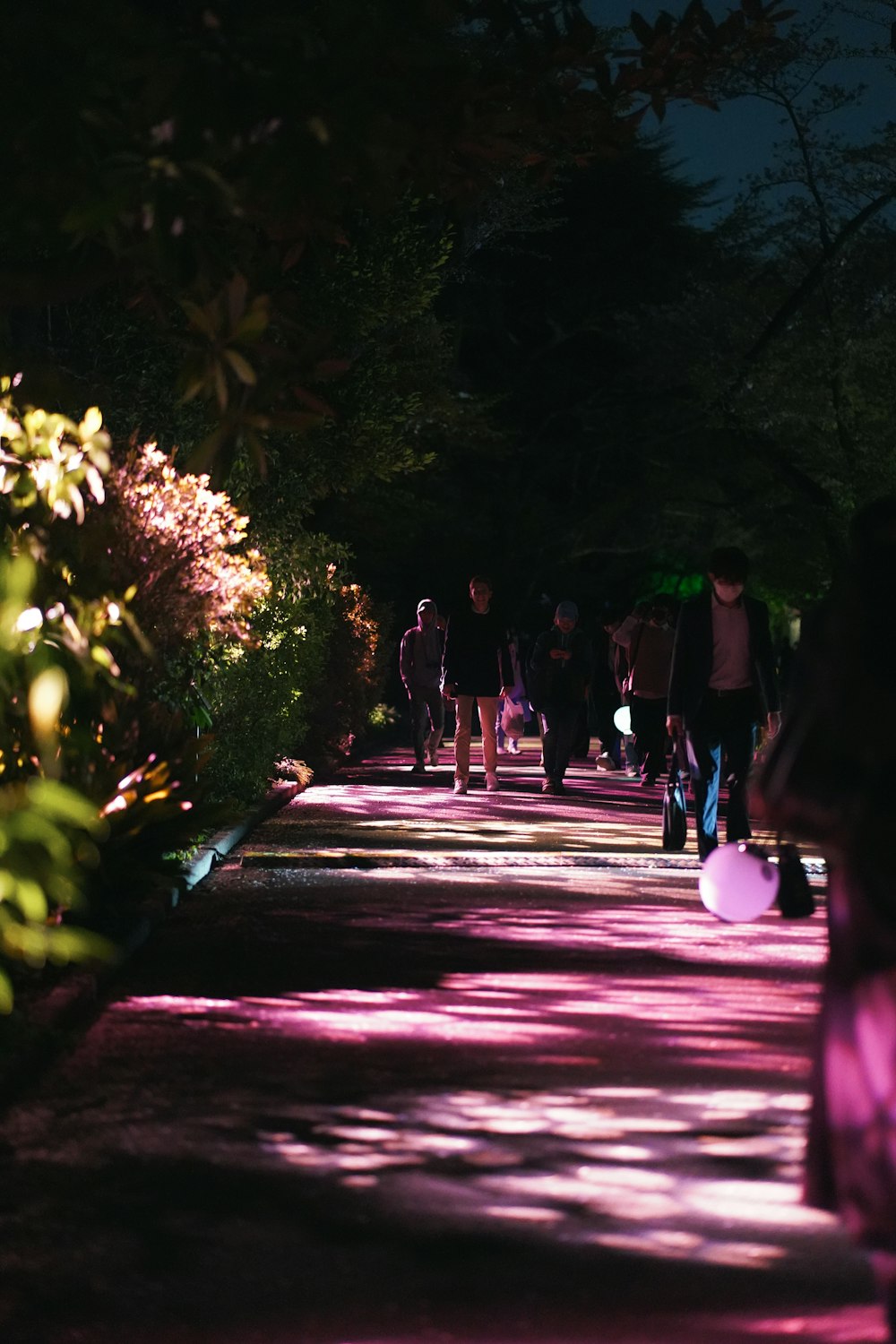 a group of people walking down a path at night