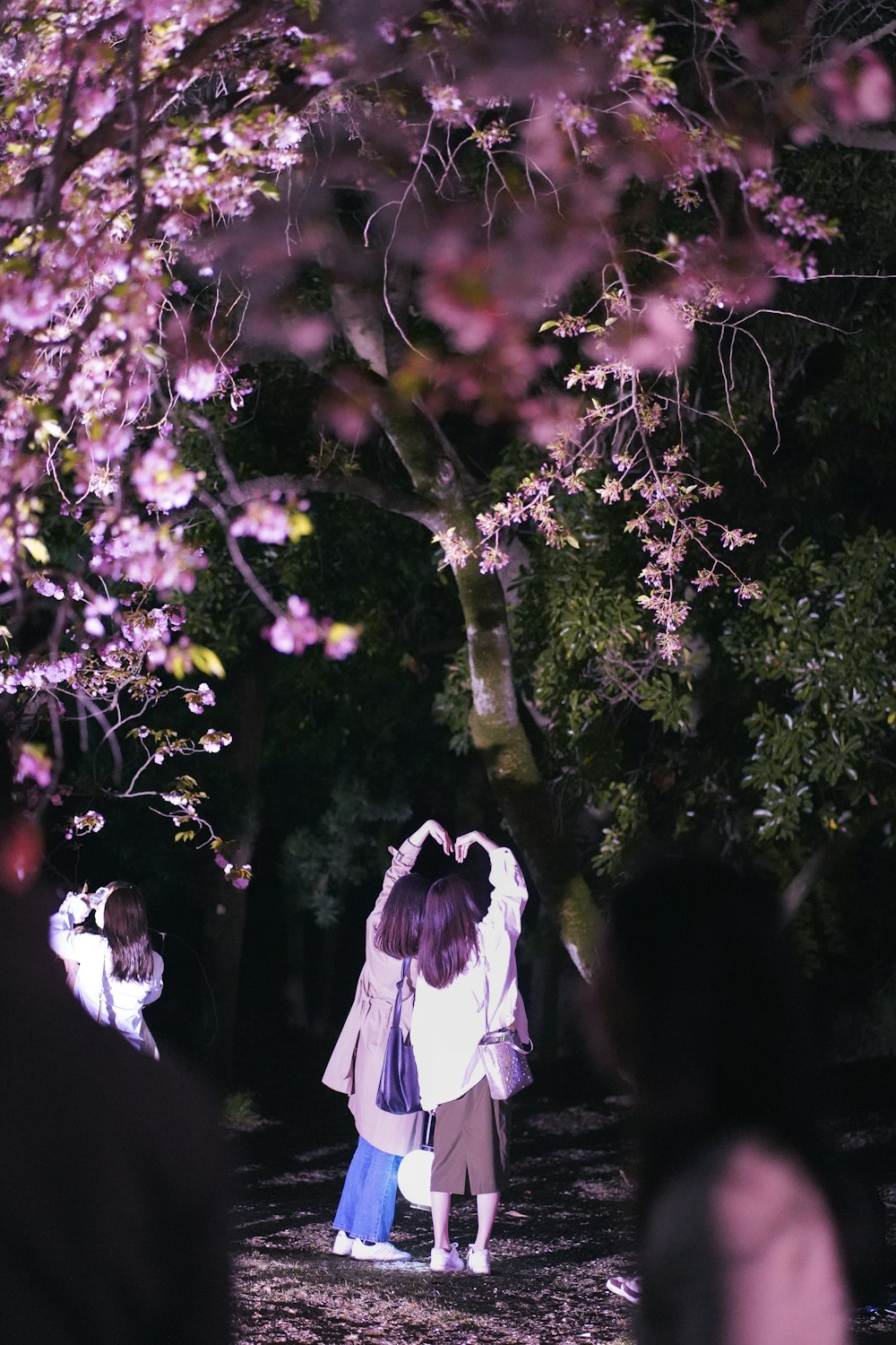 a group of people standing under a tree filled with pink flowers