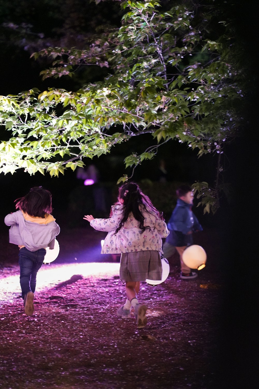 a group of people walking down a path at night