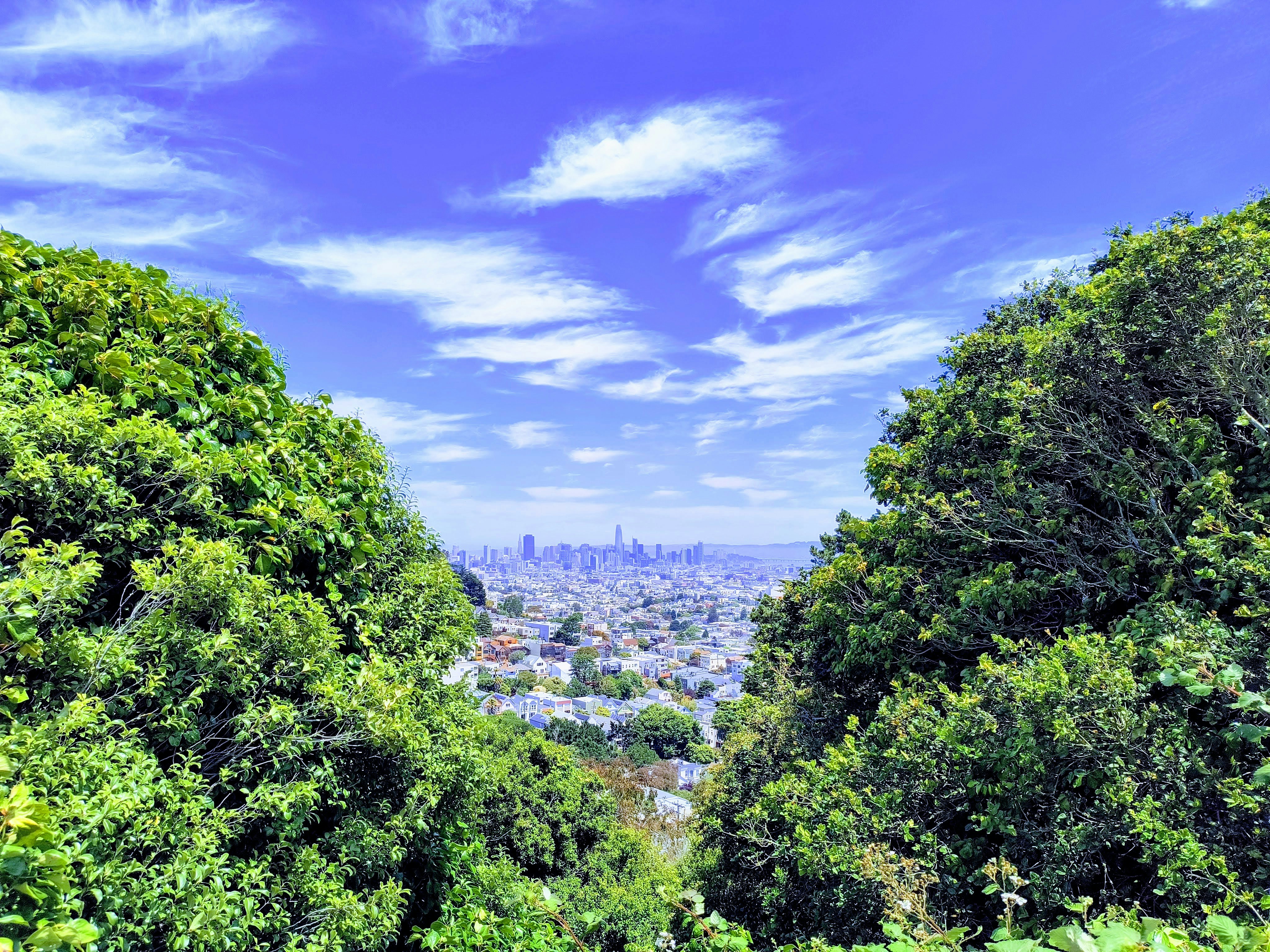 Photo by thiagorobert