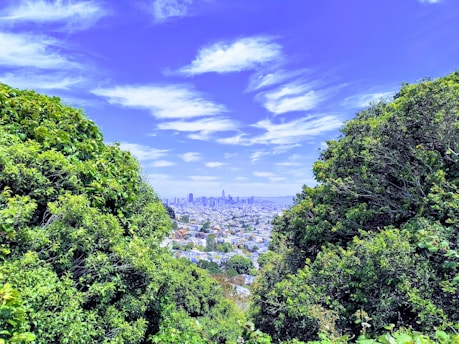 A scenic view of a vibrant city skyline.