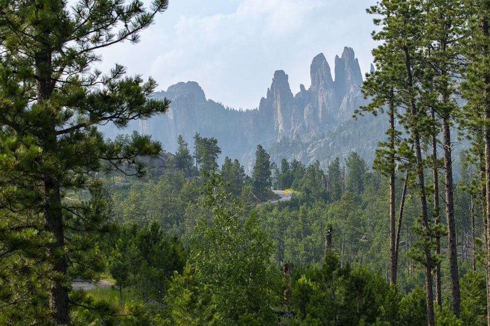 a view of a mountain range from a distance