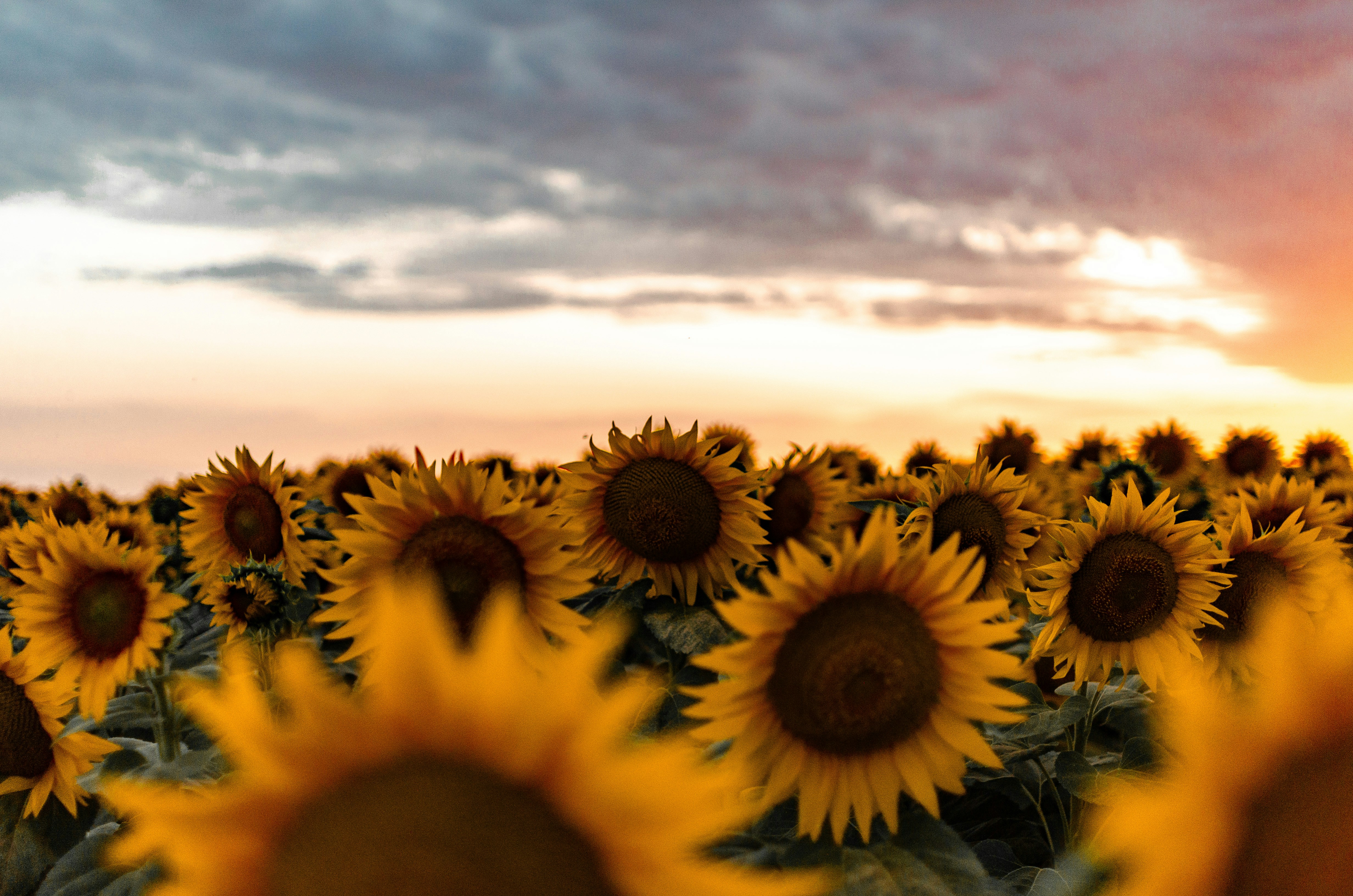 Photo by gamanalice3012