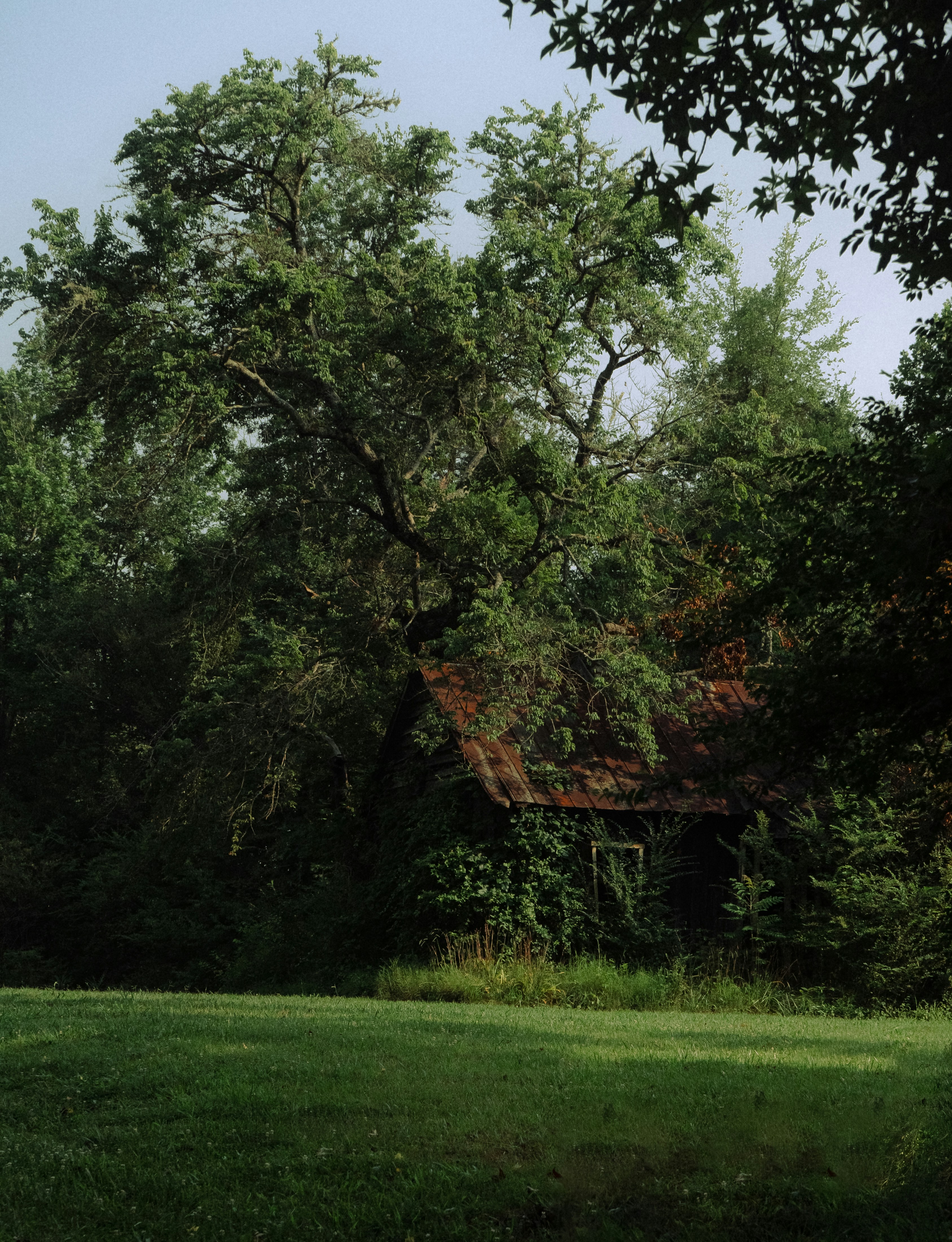 Photo by dylan_michaud