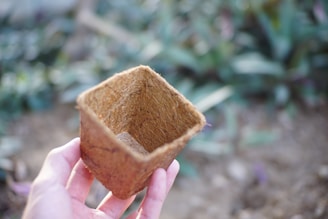 A hand holds a small, square-shaped container made from natural fibers, possibly coconut coir, with a blurred garden setting in the background.