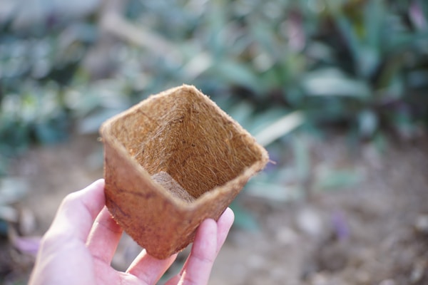 Close-up of a lightweight plant fiber box being carried by a person’s hands.