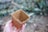 A hand holds a small, square-shaped container made from natural fibers, possibly coconut coir, with a blurred garden setting in the background.