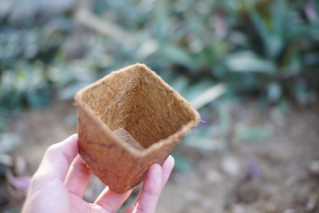 Peat Fiber Bundle