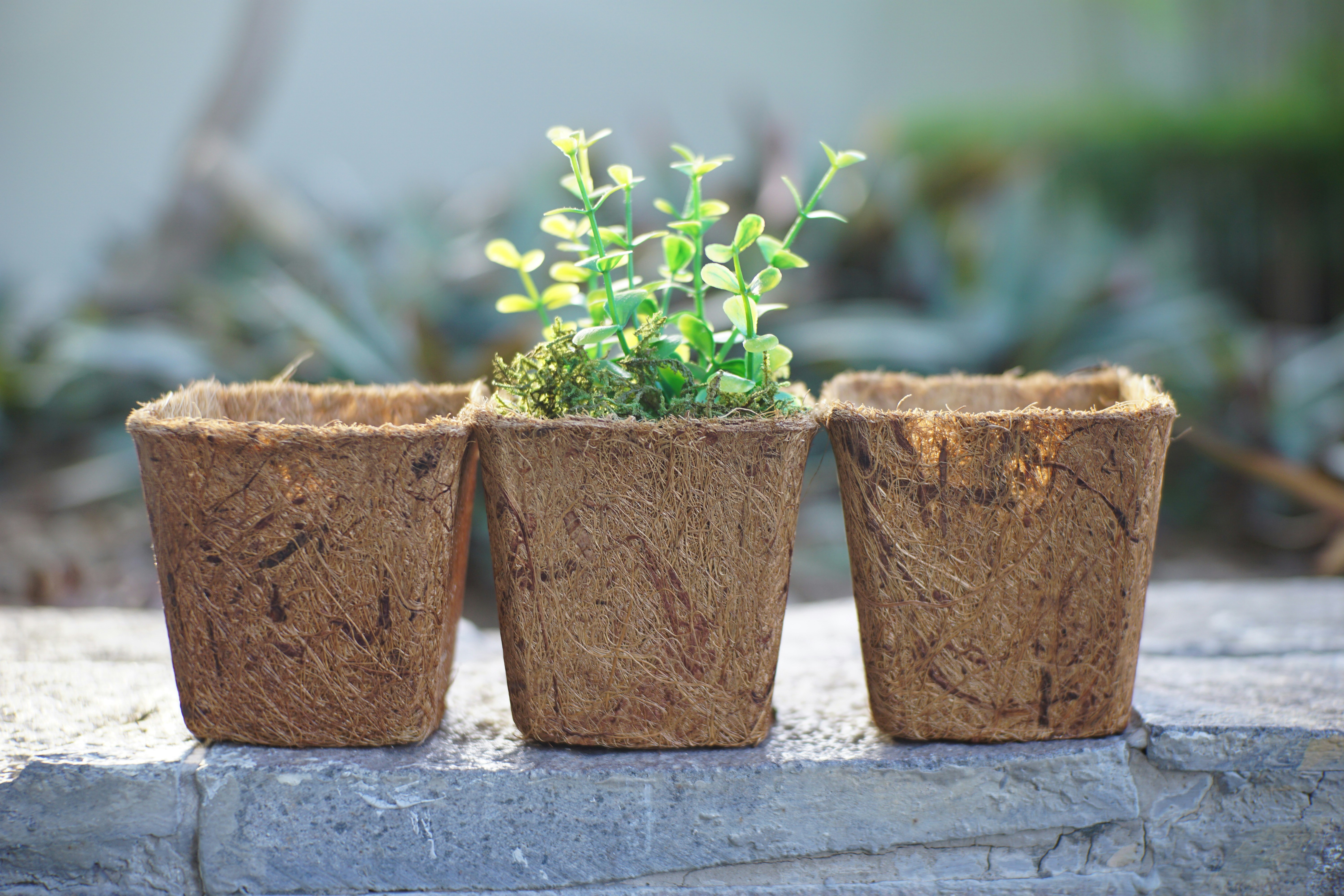 Photo by armandvalendez