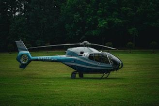 A blue and silver helicopter is parked on a verdant lawn, surrounded by a dense forest of dark green trees. The helicopter is sitting still, with its landing gear touching the grass, and appears ready for takeoff or landing.