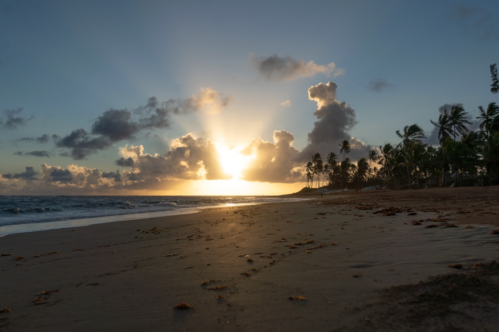 the sun is setting on the beach with palm trees