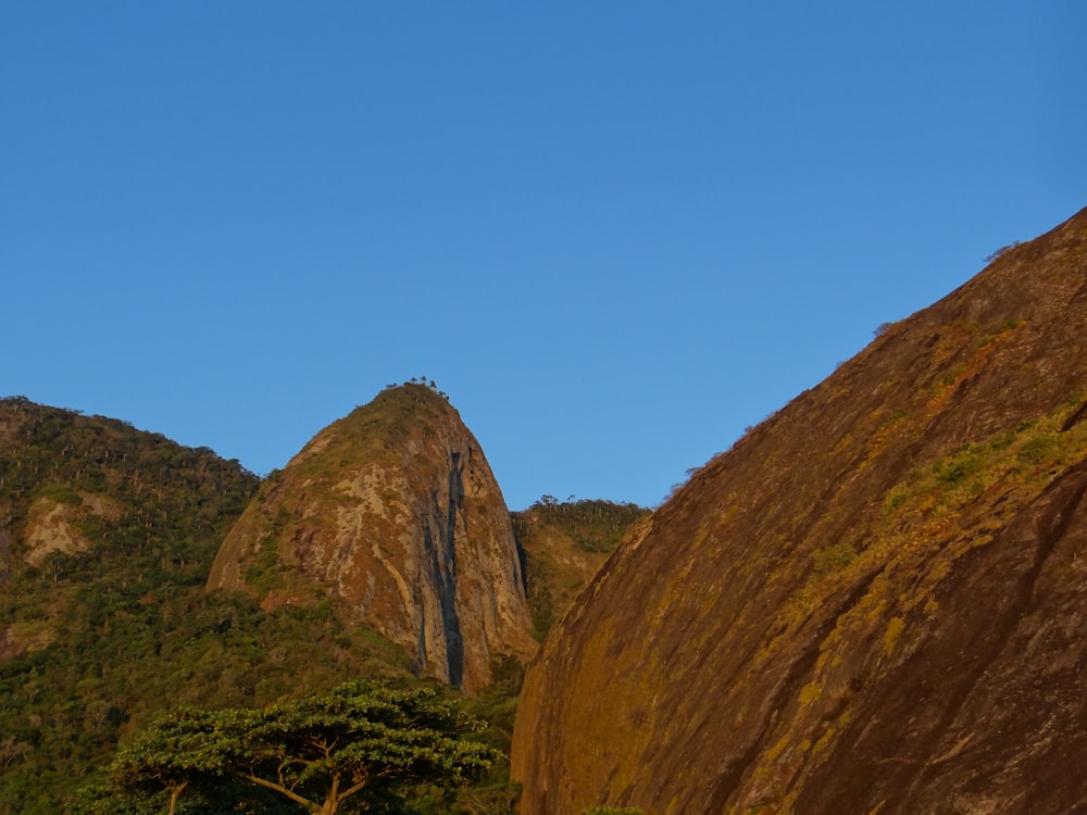 a view of the top of a mountain from below