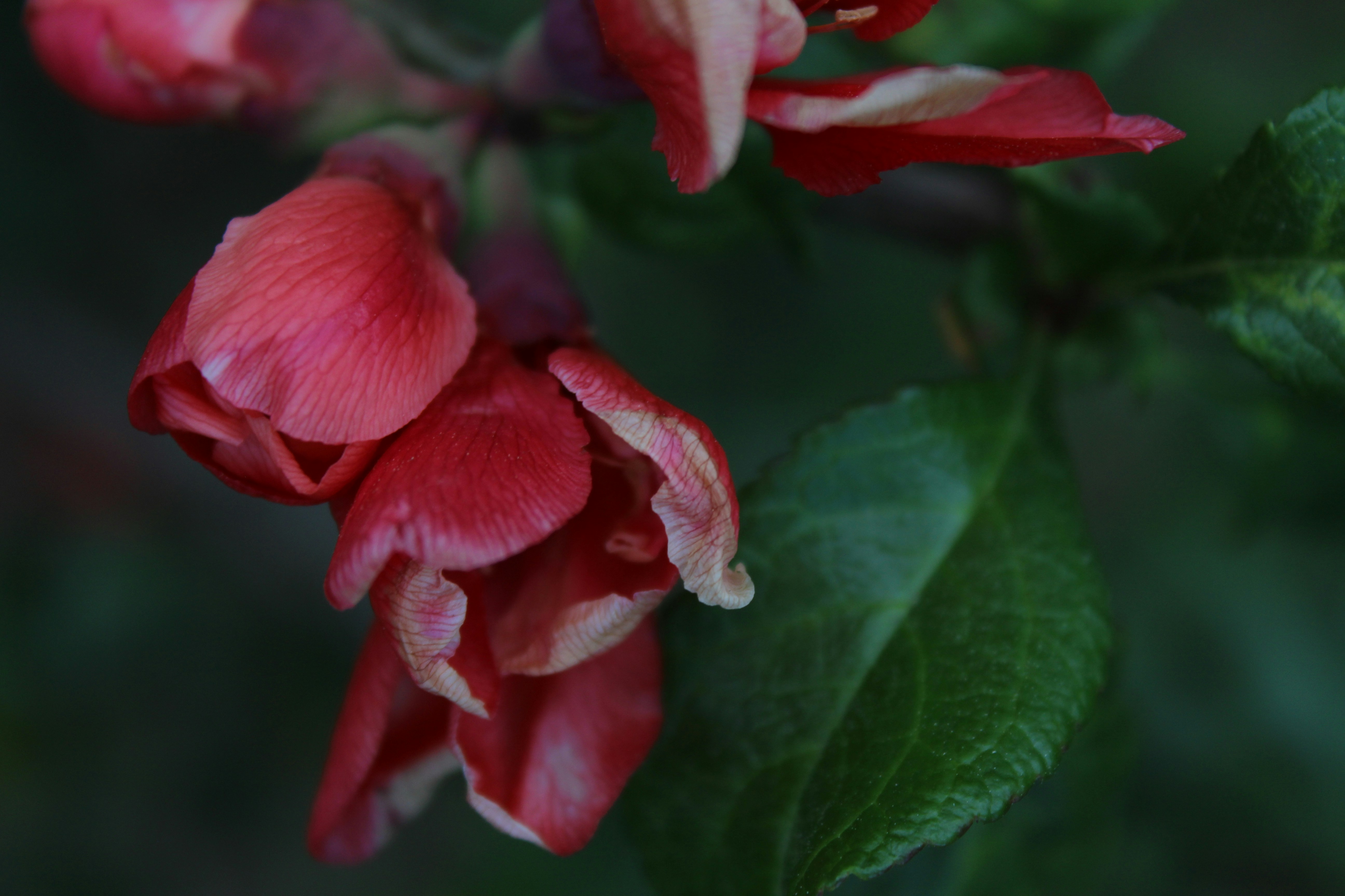 Photo by masloklarowane