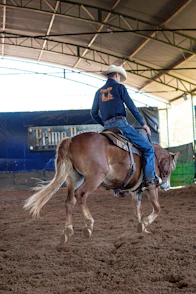 a man riding on the back of a brown horse