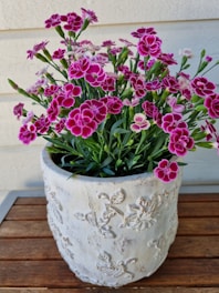 A decorative pot with intricate floral carvings contains vibrant purple-pink flowers with white edges and green stems. The pot rests on a wooden surface against a light-colored wall.