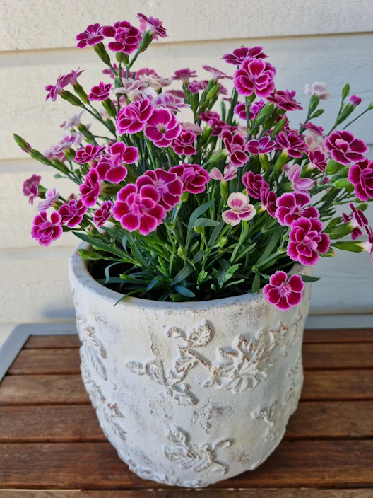 Pastel decorative flower pot placed on a solid color waist cushion beside a multi-purpose household tray