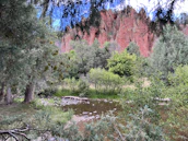 A peaceful nature scene from Arizona, reflecting calm and healing.