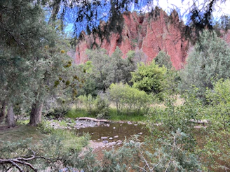 A peaceful nature scene from Arizona, symbolizing the calm and growth clients experience through therapy.