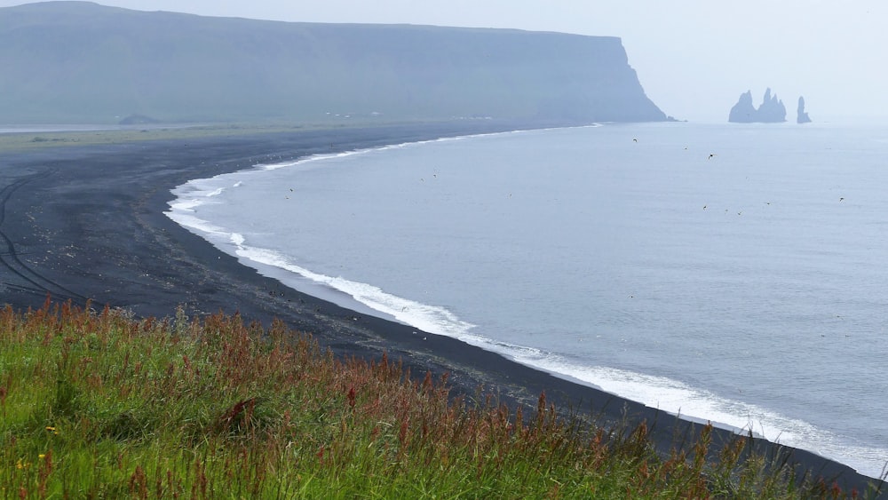 a black sand beach on a foggy day