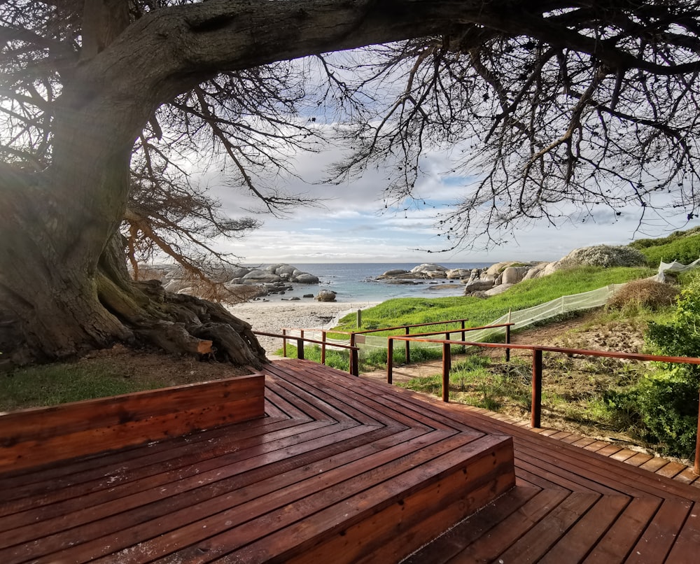 a wooden deck next to a large tree