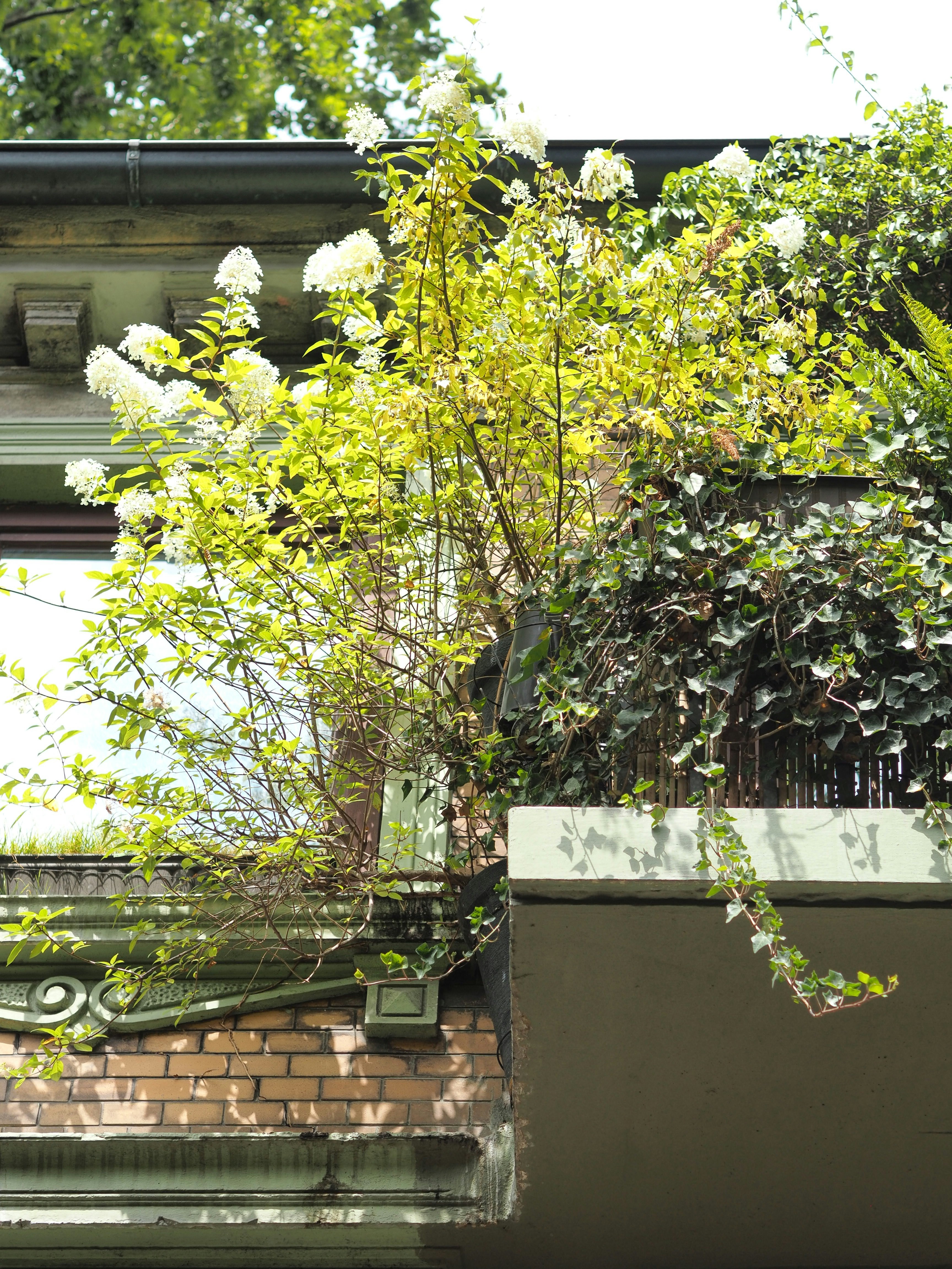 Photo by behnazyosofi