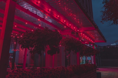 An outdoor area is illuminated with vibrant red lights strung across a wooden structure. The lights cast a red glow over the hanging plants and surrounding environment. The scene appears to be part of a restaurant or café exterior with tables visible in the dimly lit setting. A nearby building sign suggests a commercial area.