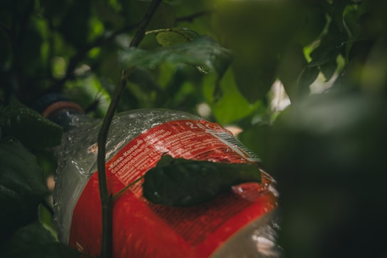 A discarded plastic bottle lies partially hidden among dense green foliage, with droplets of water visible on the surface, giving a sense of recent rain. The bottle features a red label with text and blends into the natural environment, highlighting themes of pollution.