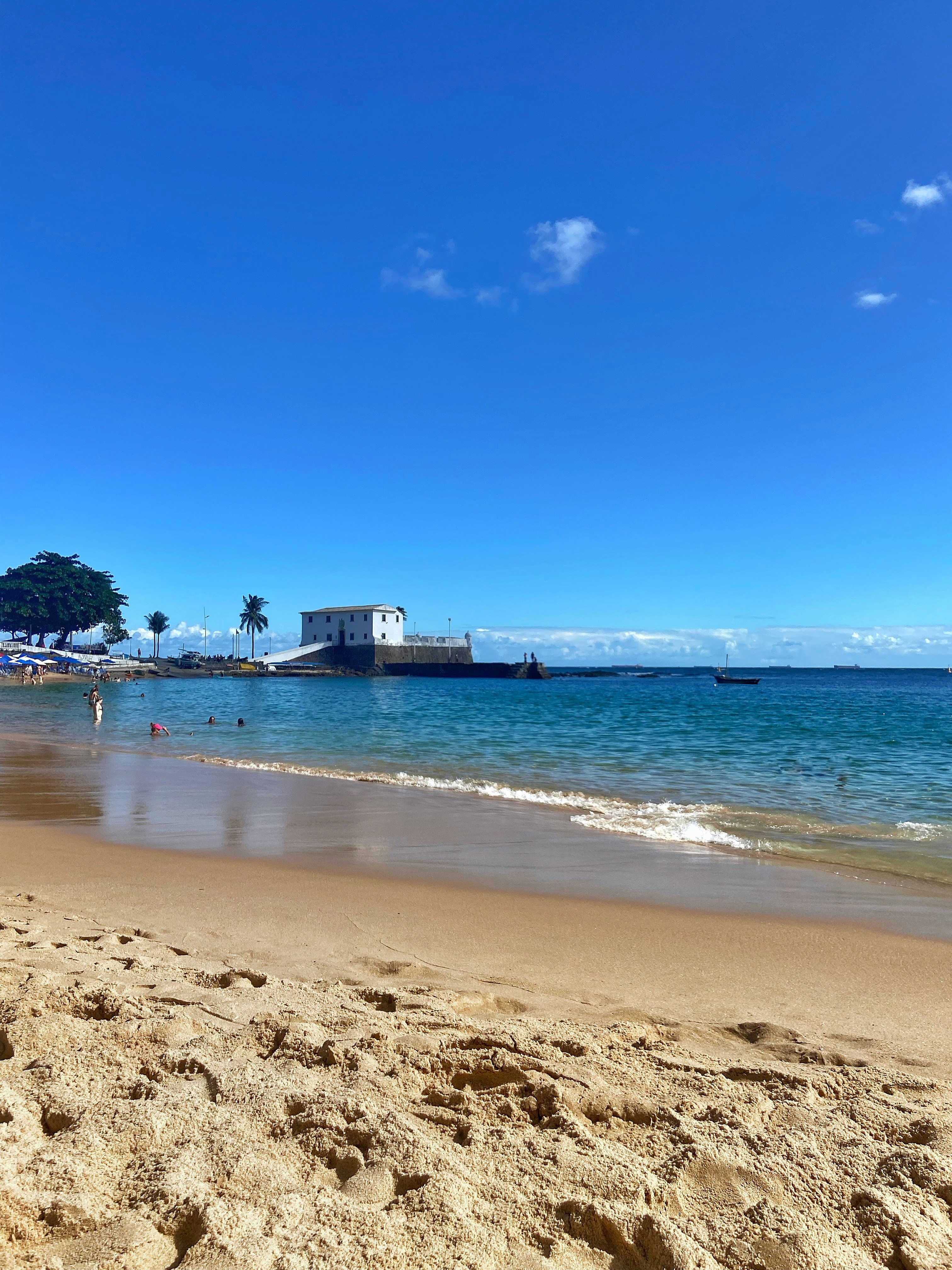 Photo by vinicius_vm