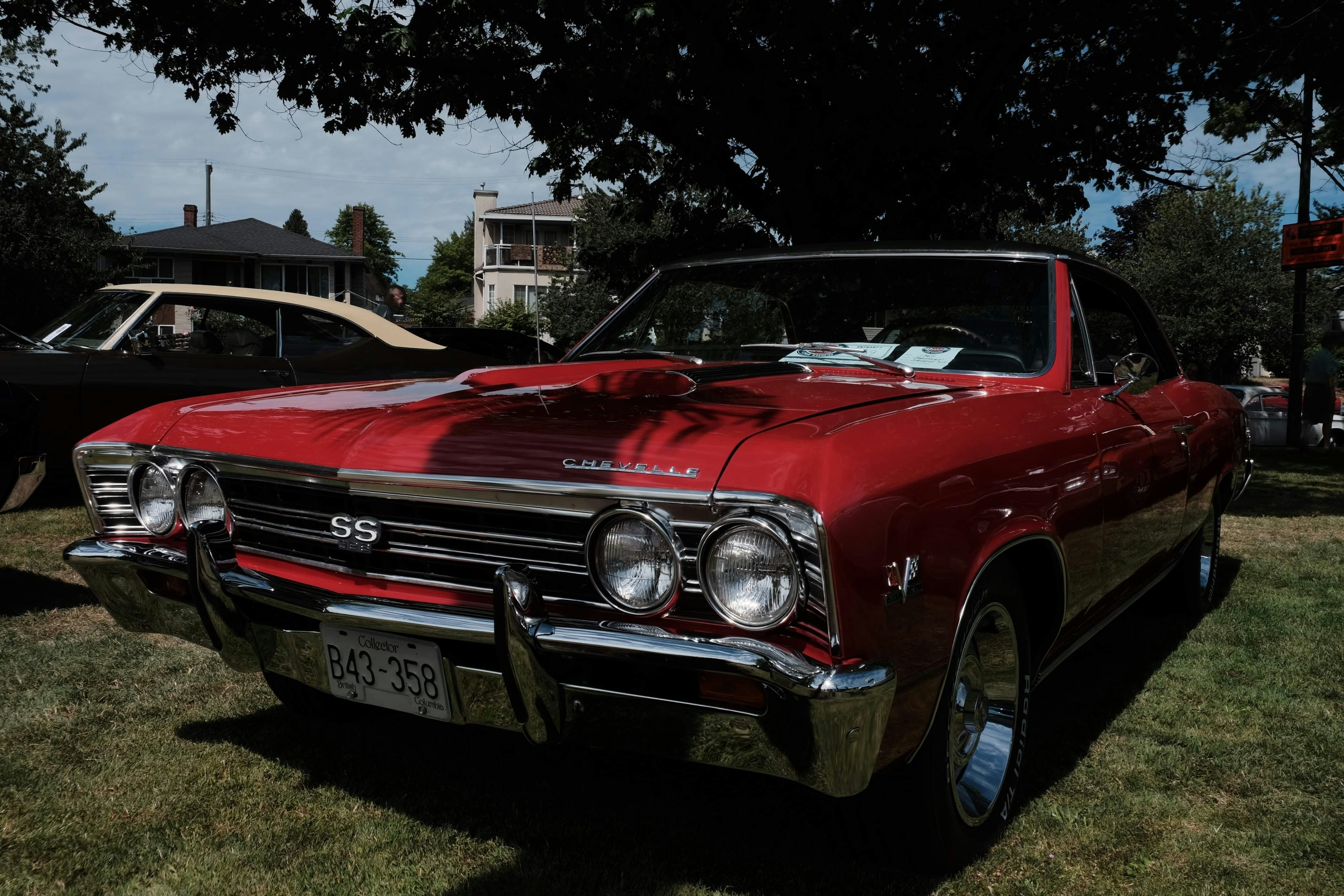 Photo by arvindale021