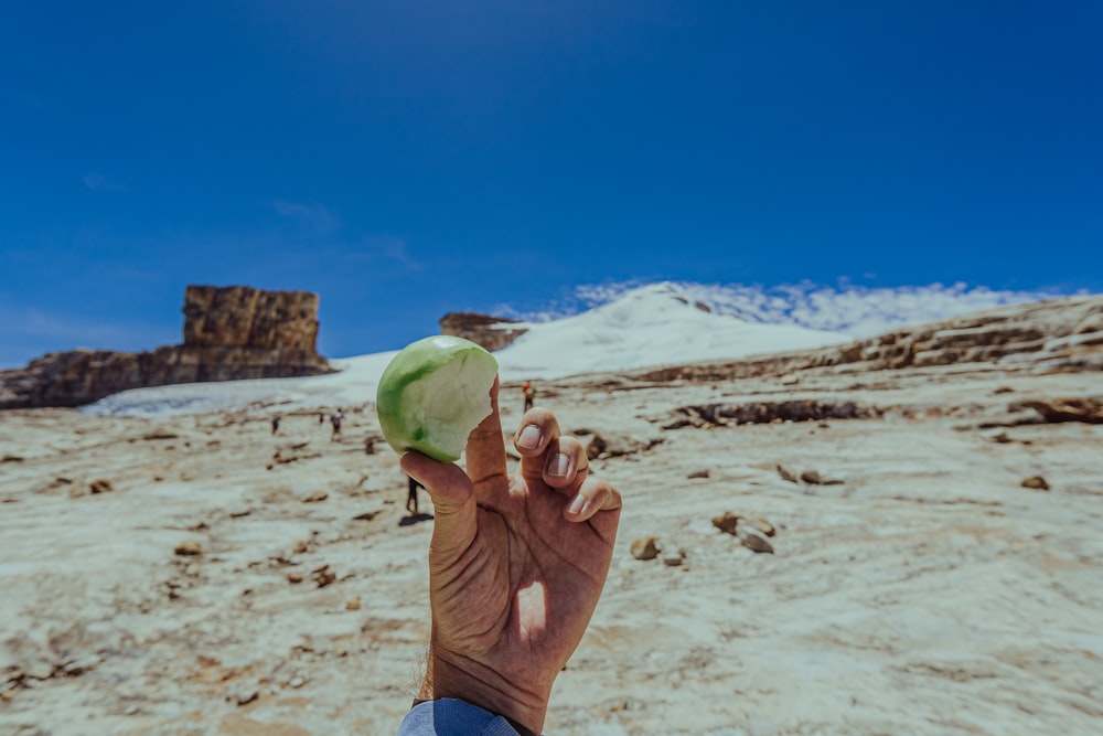 una persona sosteniendo una pieza de fruta en la mano