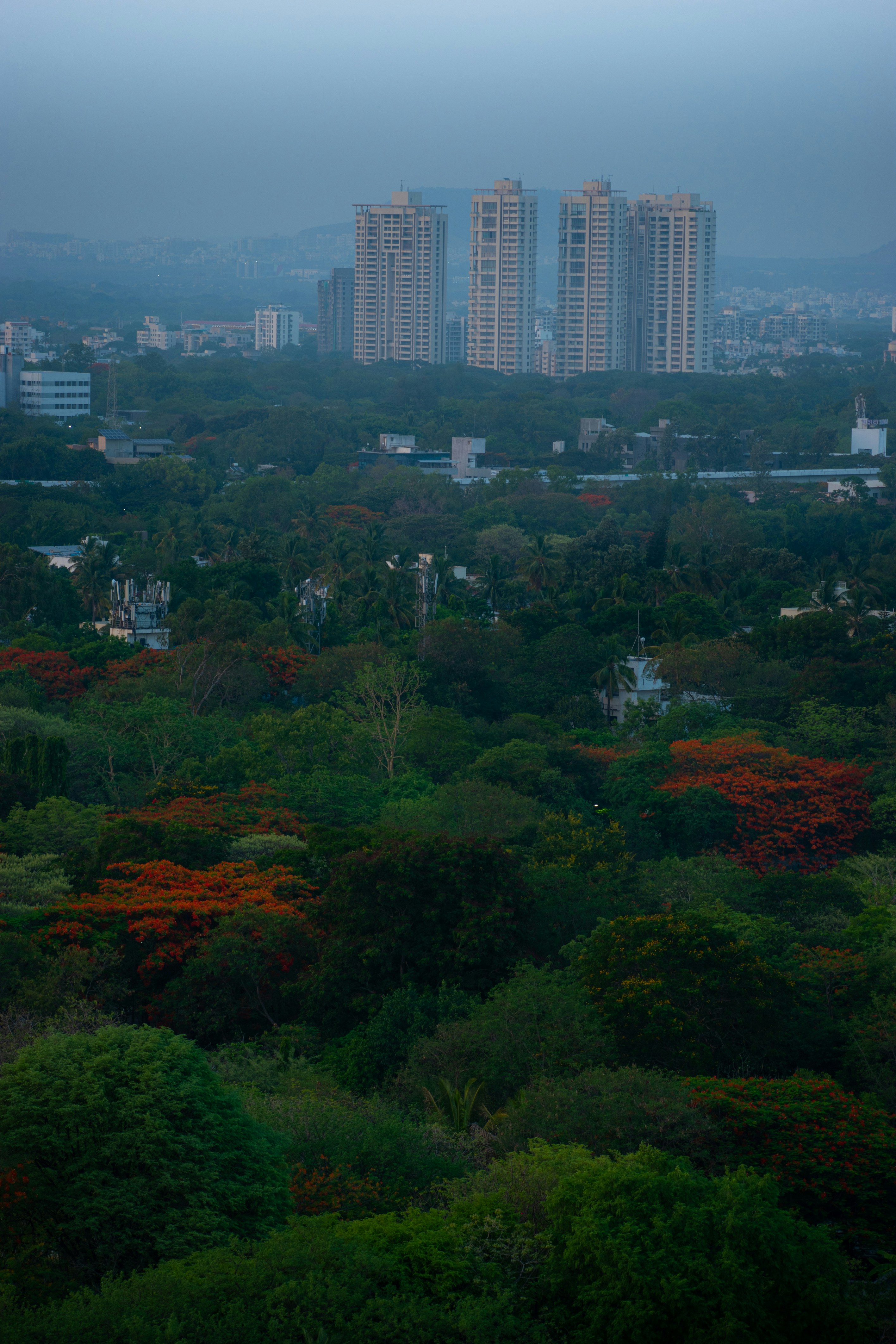 A view of a city with tall buildings in the distance photo – Free ...