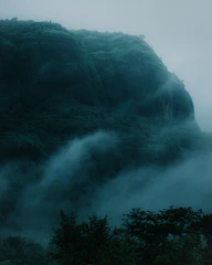 A misty mountain trail surrounded by lush greenery and soft pastel skies.