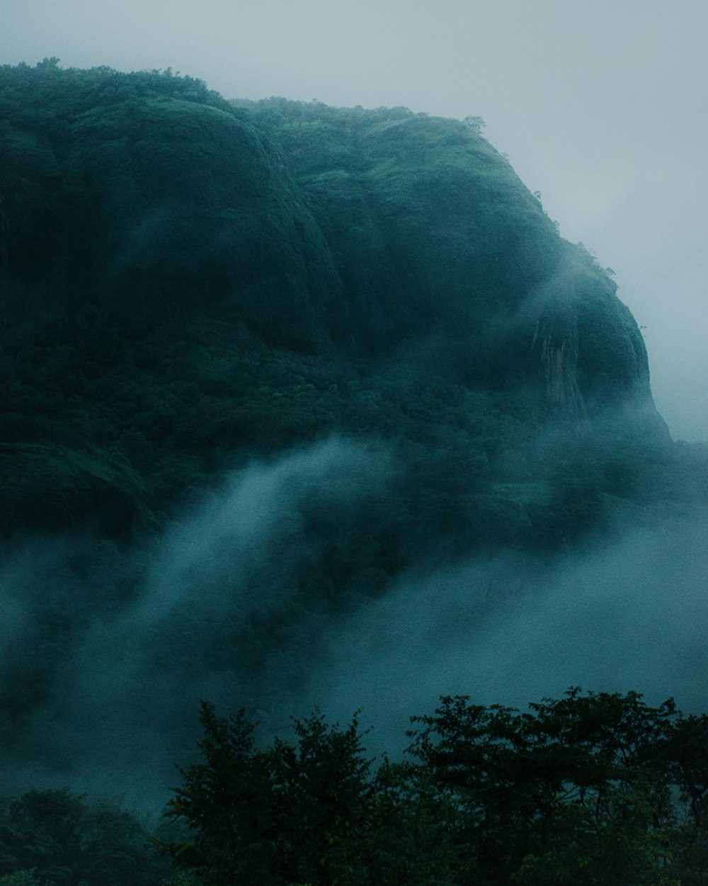a mountain covered in fog with trees below