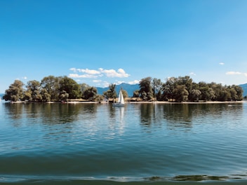a lake with a small island in the middle of it