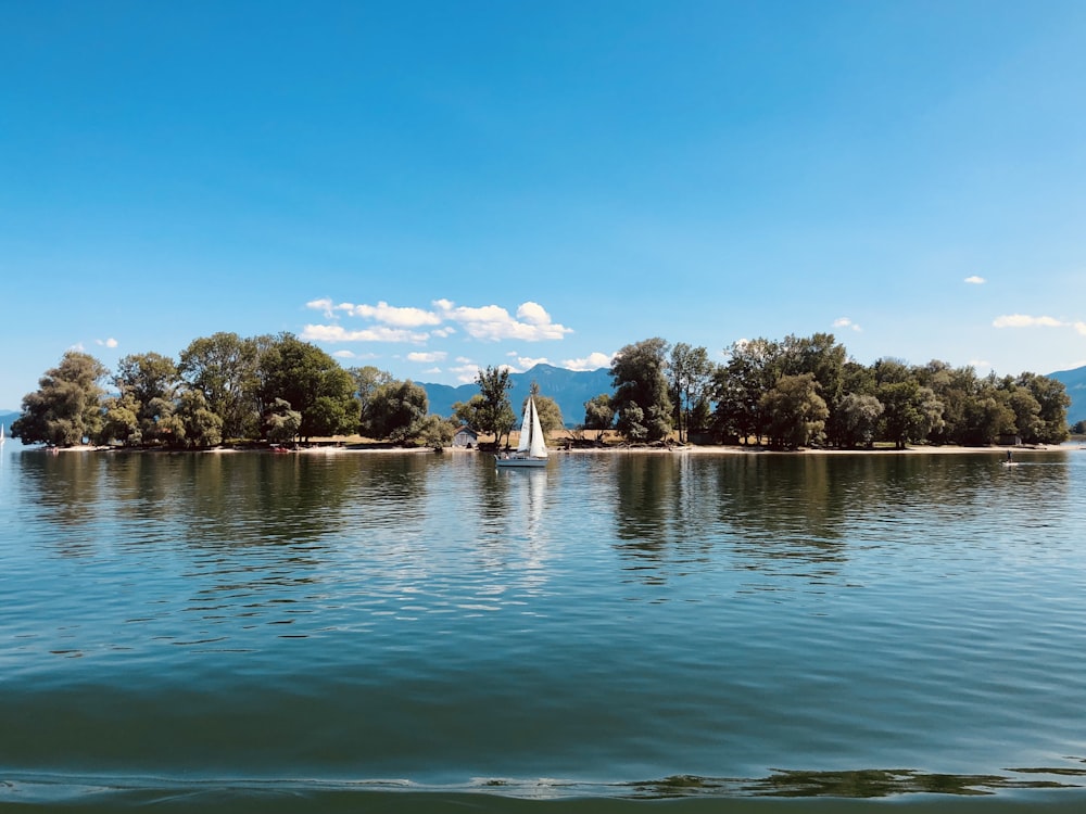 a lake with a small island in the middle of it