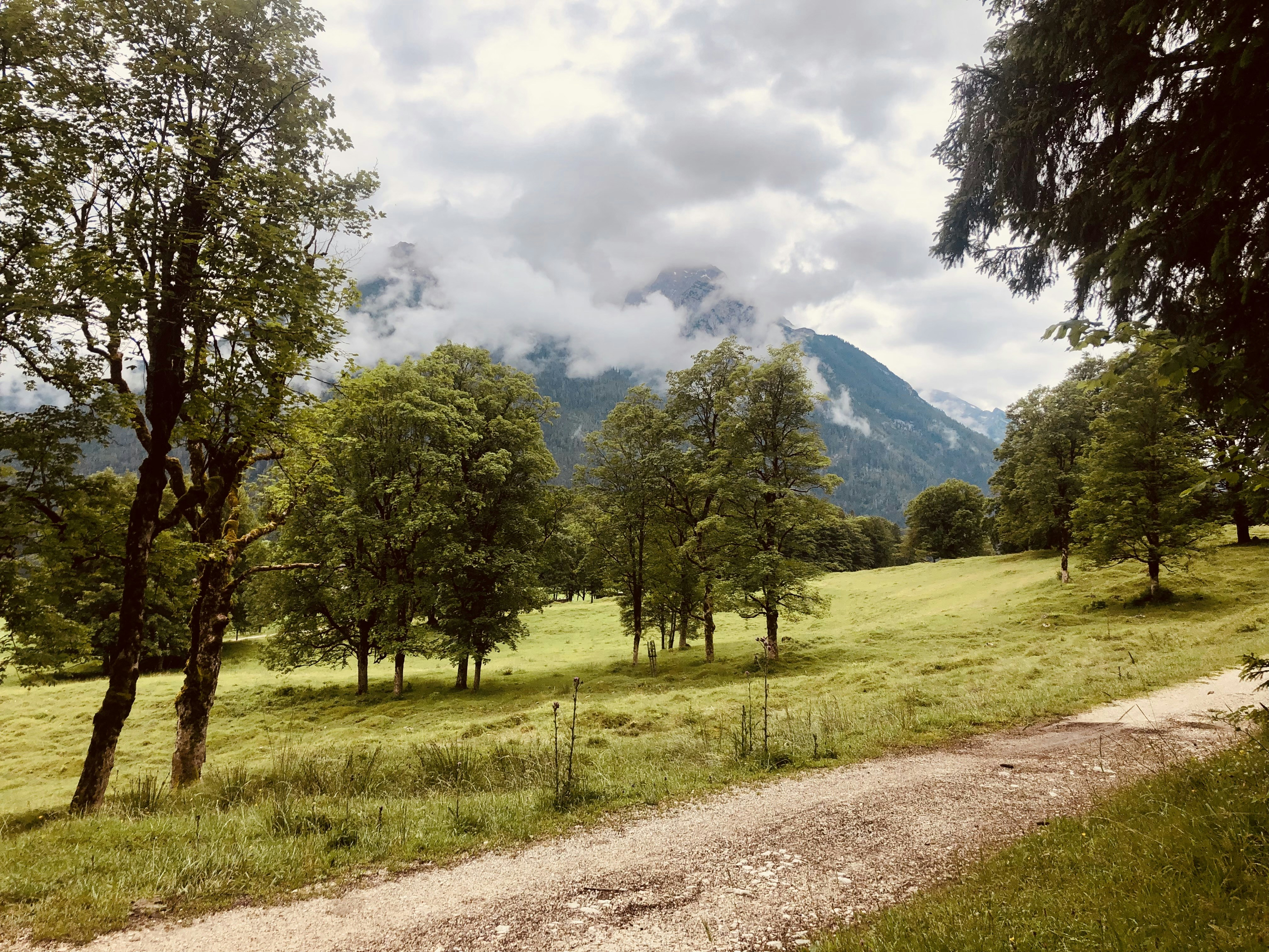 Photo by babscreates