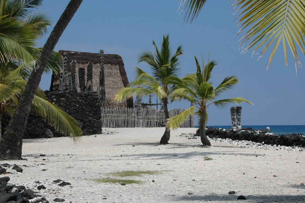 una playa de arena con palmeras y un edificio al fondo
