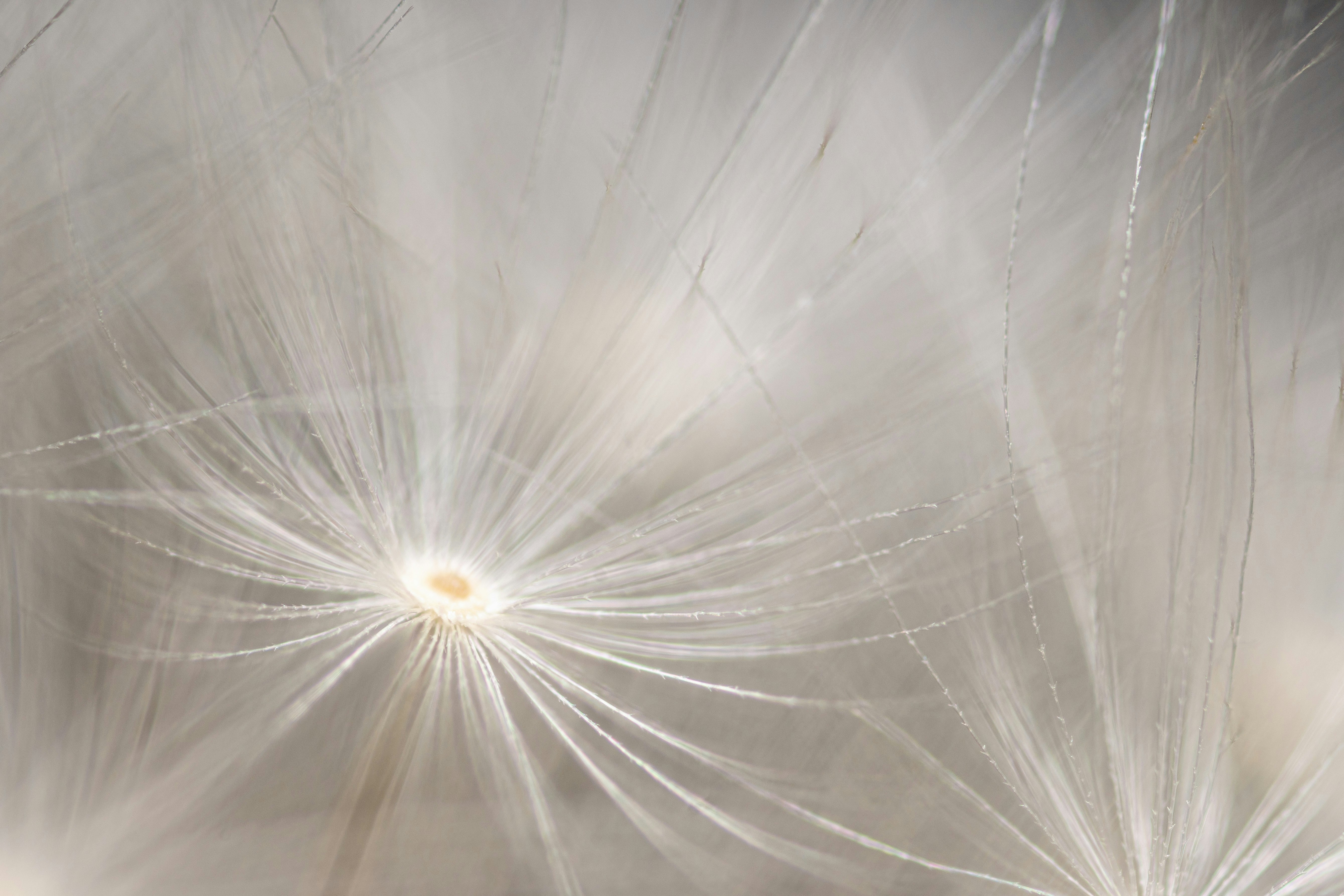 Photo by snowwhitesmellscoffee