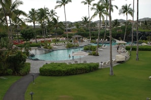 A tropical resort pool with palm trees and lounge chairs inviting relaxation.